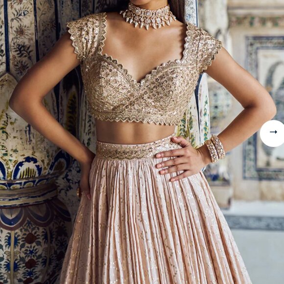 [NEW] Lashkaraa Nude and Gold Embroidered Lehenga XS - Picture 2 of 9